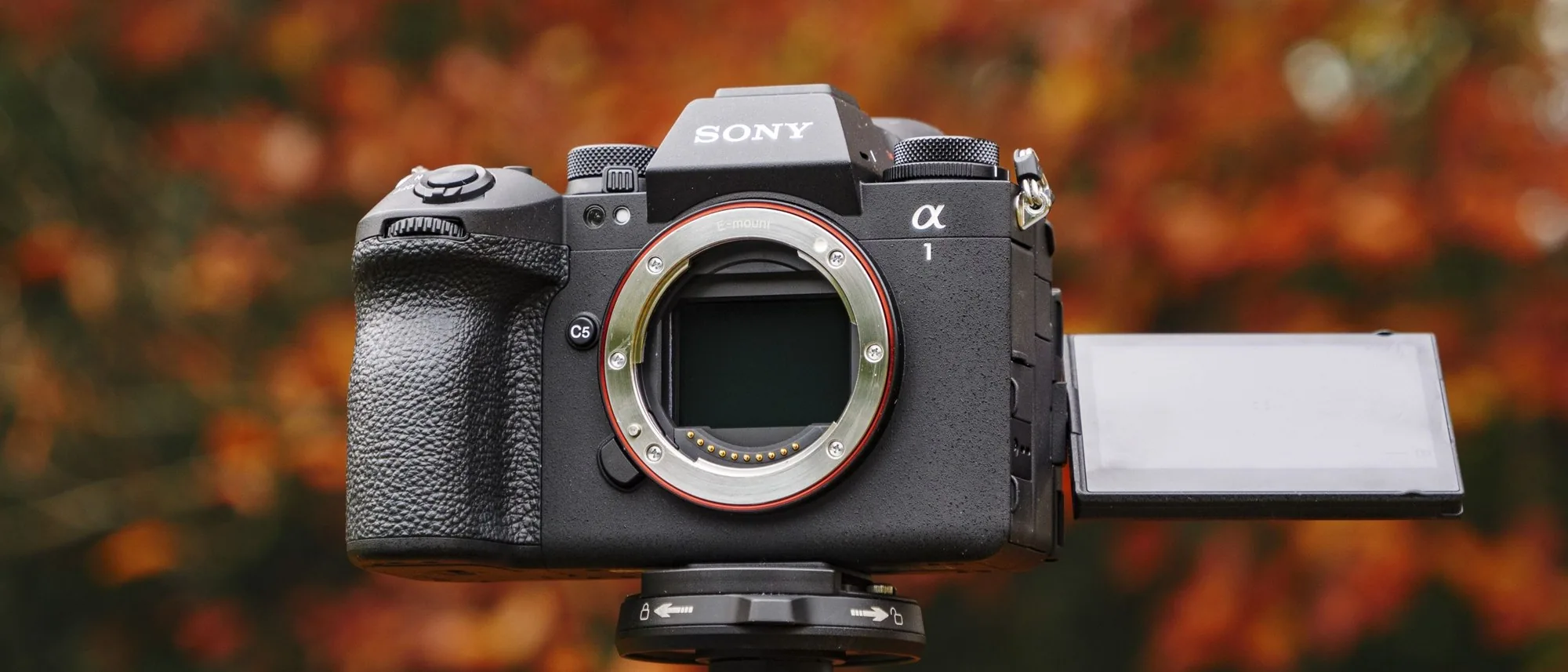 Sony A1 II — 50.1 MP stacked sensor, 30 fps, 8K/30p, the fastest hybrid body made